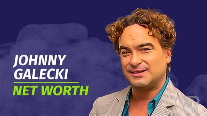 Johnny Galecki's Net Worth: Discoveries And Insights