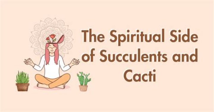 Unveiling The Spiritual Side Of Zach Bryan: Discoveries And Insights